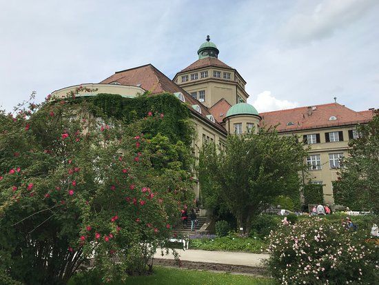 Ogród botaniczny Monachium-Nymphenburg